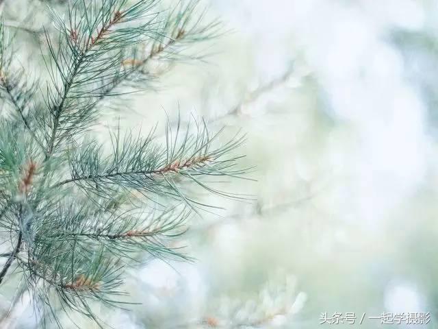 爱摄影的人都有什么特点,喜欢摄影的女人是什么样的人