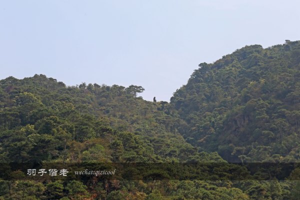 居于涟岸隐于湖,到肇庆体验离尘不离城的精致慢生活