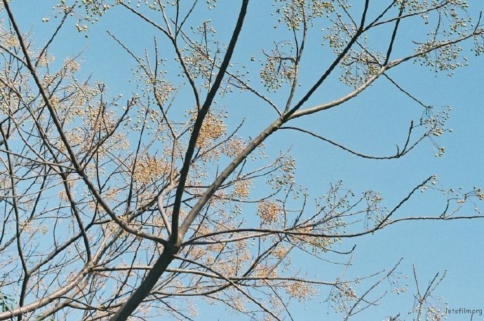 面对很自私的男人,面对特别小气的男人怎么办