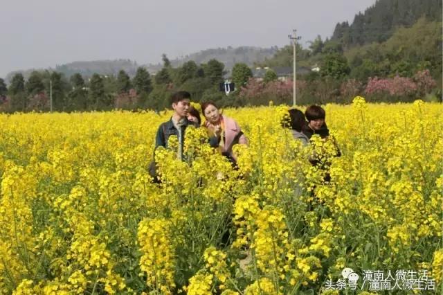 潼南附近的城市好玩的地方,潼南是不是个好地方