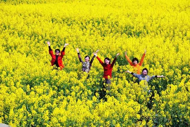 用VR看花海是种怎样的体验？这周就去免费看~