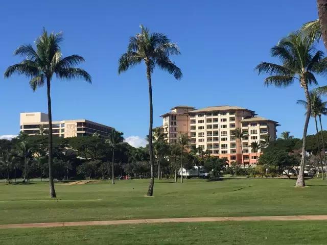 夏威夷毛伊岛旅行记 (毛伊岛旅游必做的100件事)