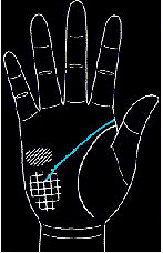 手的生命线是越长越好吗,手纹上的生命线越长越好吗