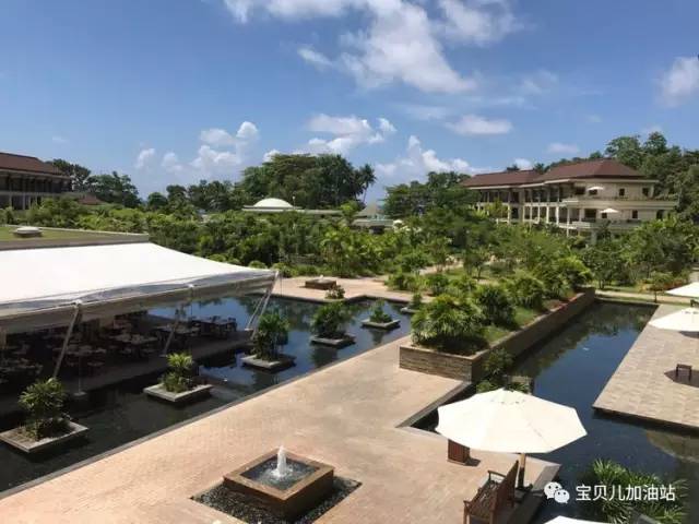 塞舌尔游记,塞舌尔埃及