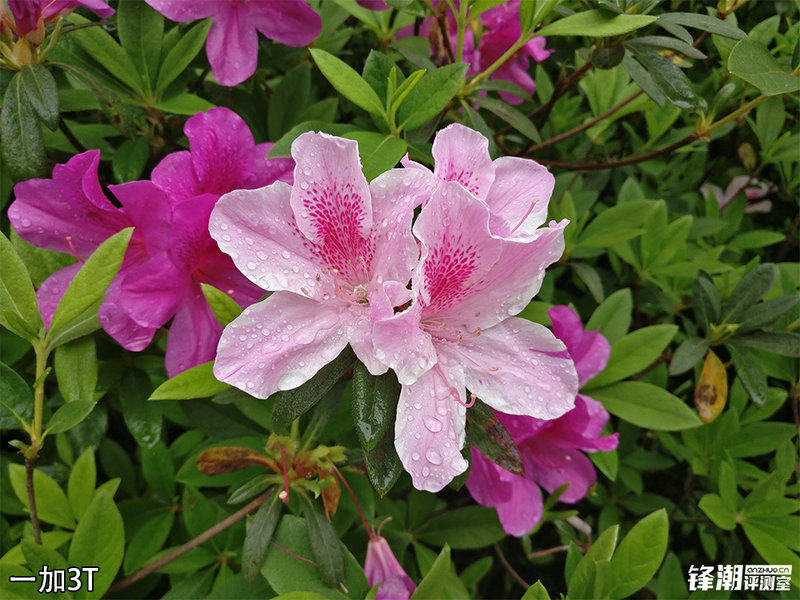 荣耀v9和一加3t哪个性能好,荣耀v9和一加3t哪个好玩