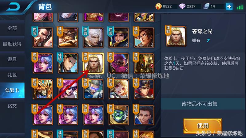 王者荣耀新赛季全皮肤体验卡,王者荣耀皮肤体验卡排位能用吗
