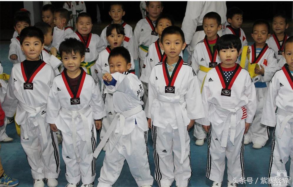 紫塞网,承德紫塞网是什么网站