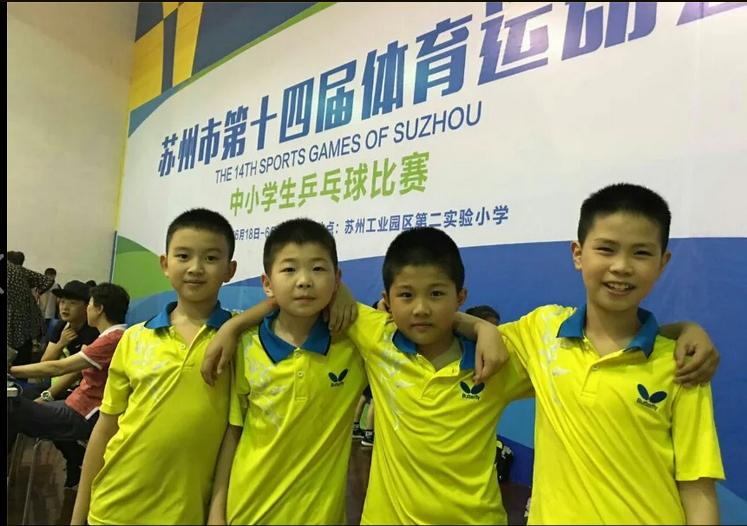 苏州相城乒乓球训练,苏州乒乓成人训练