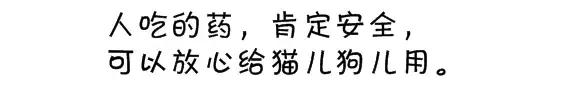 狗狗吃人的药会中毒吗,狗狗吃人用药吗