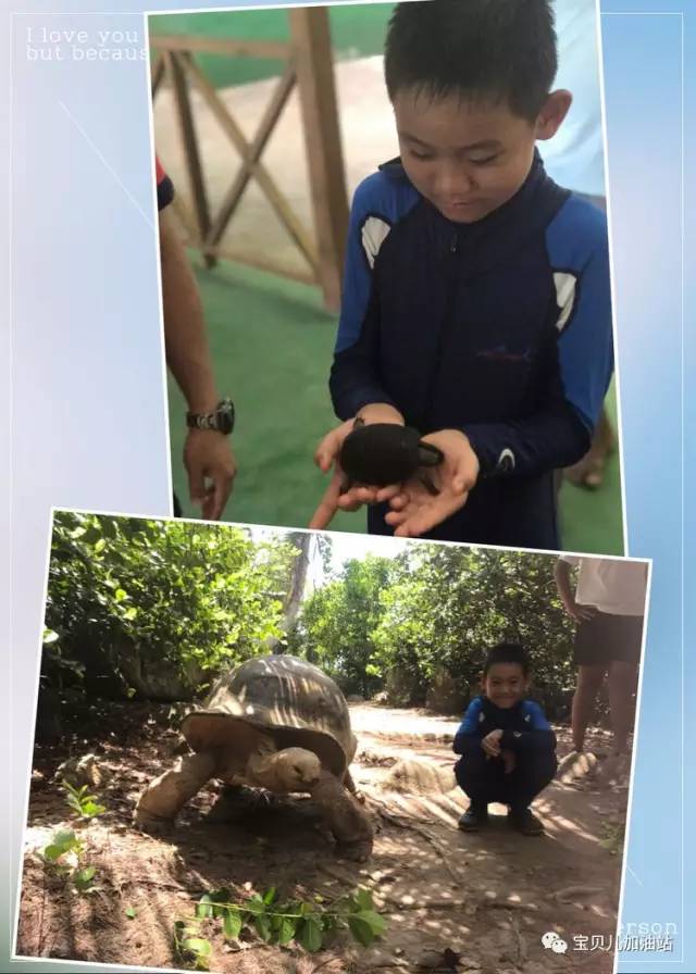 塞舌尔游记,塞舌尔埃及