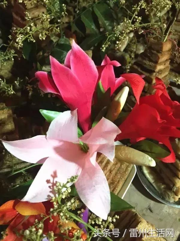 神秘讲究的“百饼宴”是怎样滴？带你走进湛江太平镇良村独特年例