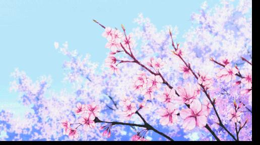 樱花季攻略完整版,樱花上海攻略