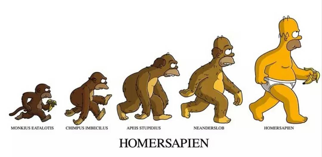 关于国潮的视频,有关国潮