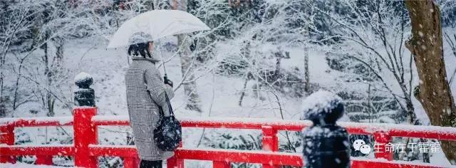 拉面 · 自动贩售机 · 雪｜云之彼岸的日本欢脱之旅
