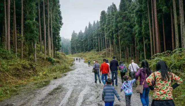 成都周边踏青二日游自驾游,春节成都看花好玩的地方推荐