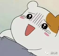 纸质结婚请柬简单便宜,结婚请柬高级小众简单