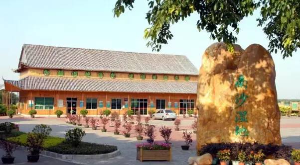 广州游玩攻略一天排行榜,广州免费景点大全排名榜