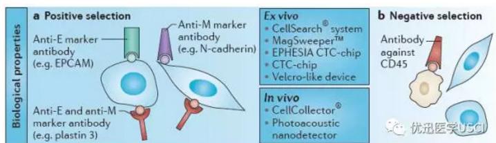 液体ctc循环肿瘤细胞检测靠谱吗,液体活检dna检测准确性