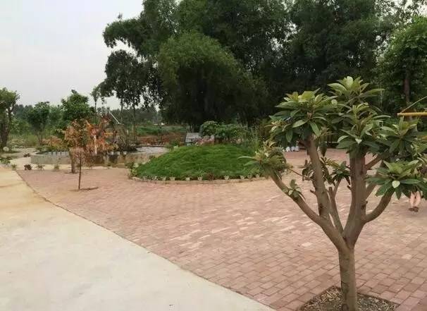 柳州周边好玩的农庄推荐,柳州周边农庄