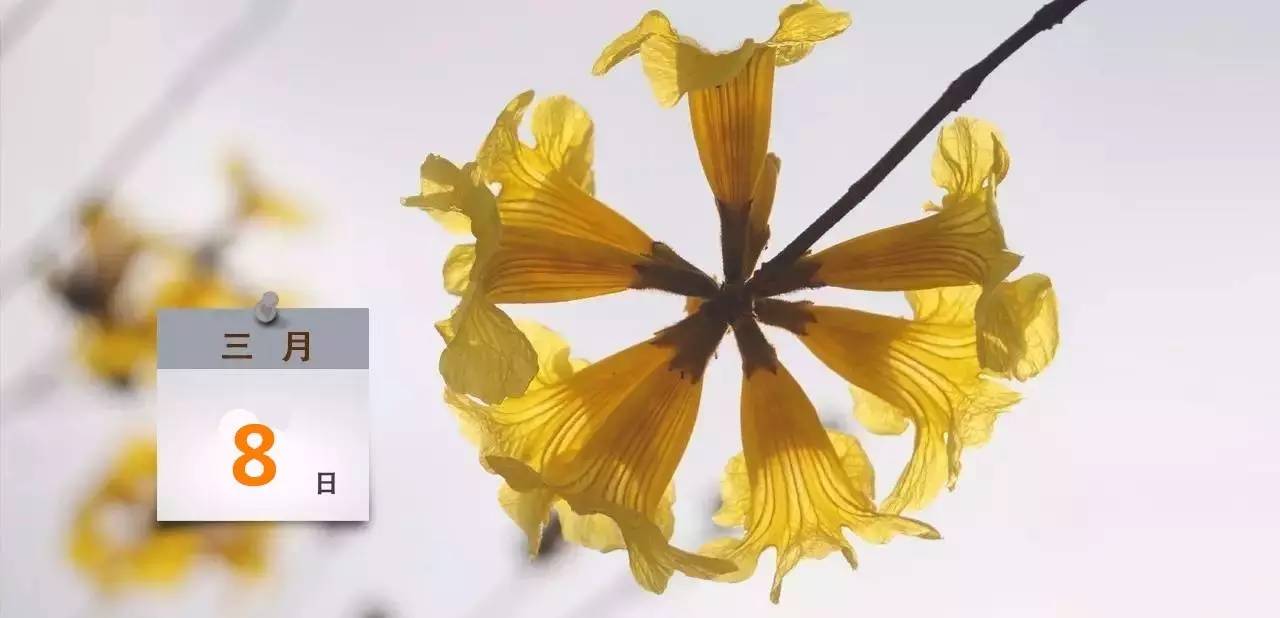 去年中山人花了2.44亿元做这件事,你贡献多少?|速览