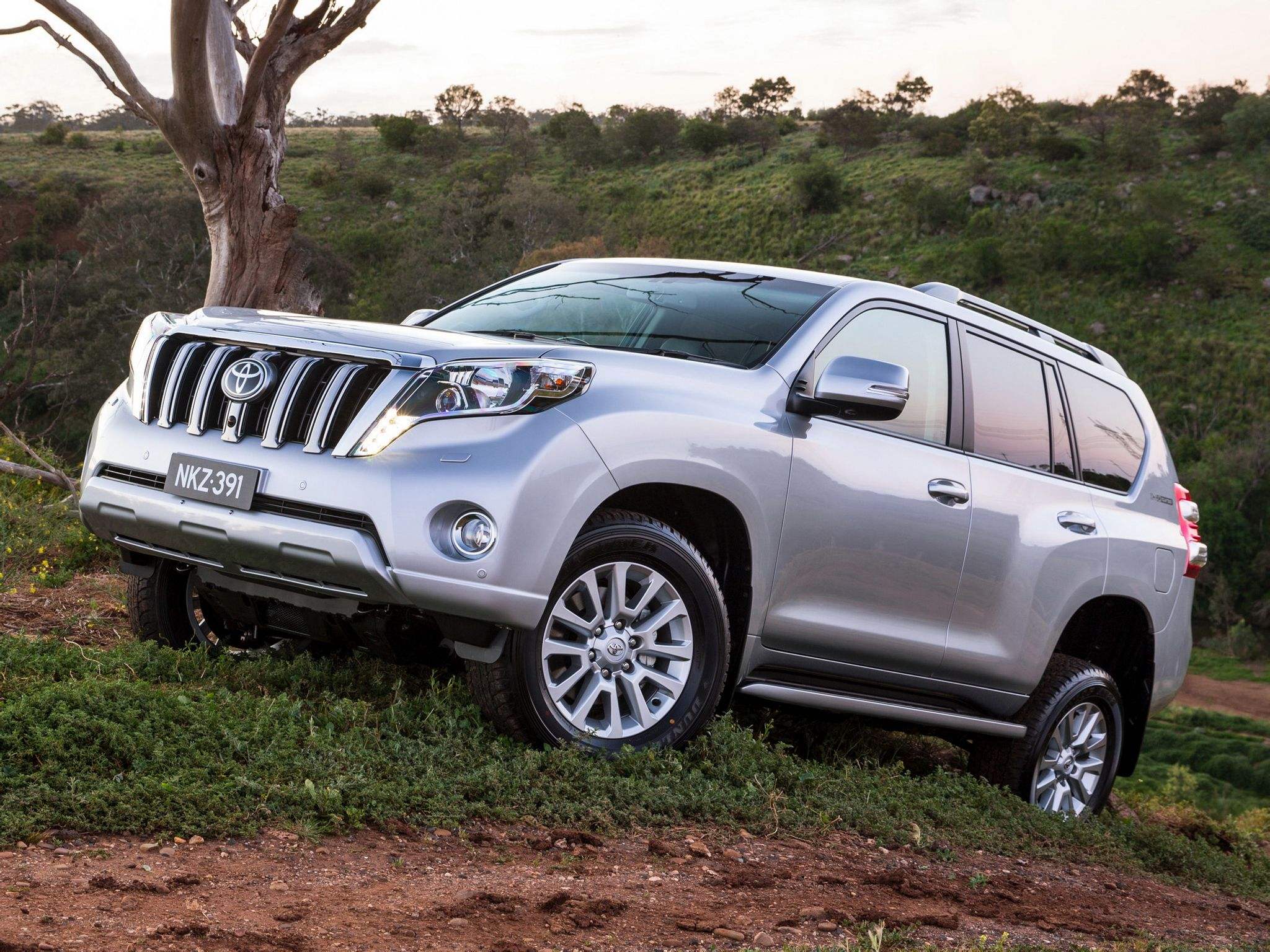 平行车出口前景,港口平行车价格靠谱