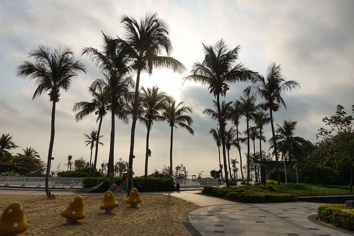 索尼黑卡24-600mm值得入手吗,现在索尼黑卡rx10m4什么价位