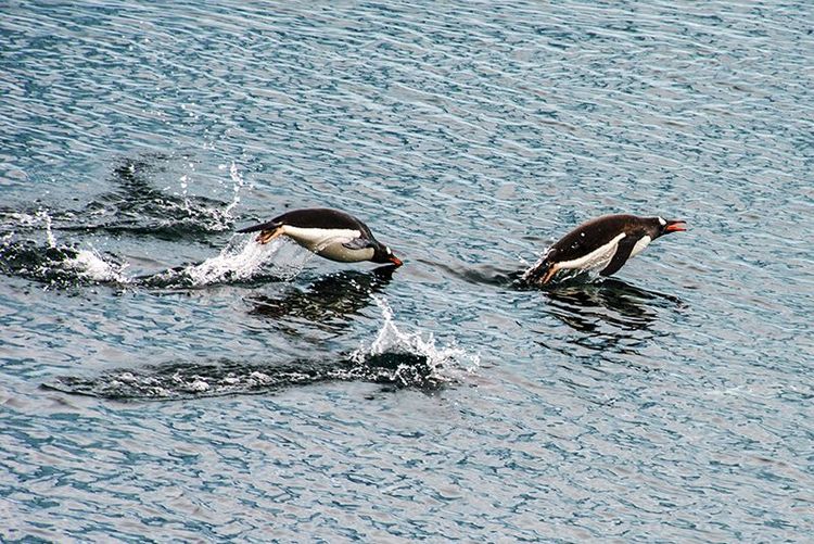 嗨哩文旅丨在世界的尽头的九个日日夜夜