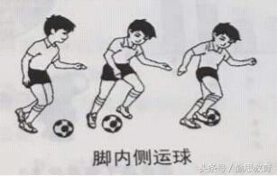 小学教资教育知识与能力试题2021,2017年上半年小学教育知识与能力