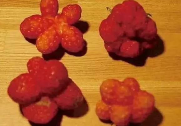 日本核污染食品朋友圈,无印良品食材是有核辐射吗