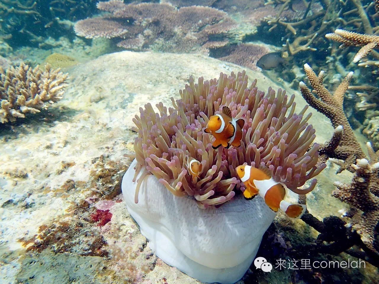 bromo活火山在哪,bromo火山超详细攻略