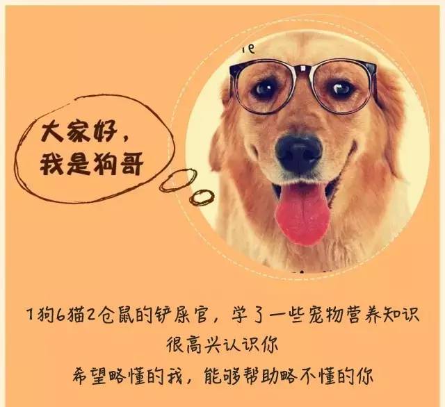 万能的洁尔阴，妇炎洁，宠物也洗洗更健康吗？