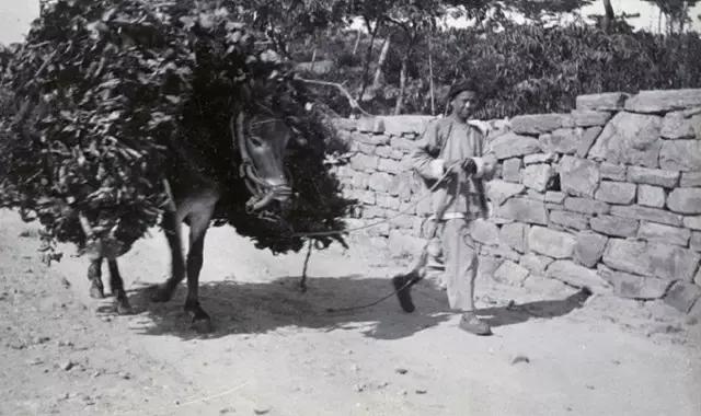 100张威海荣成老照片,1910年山东威海老照片