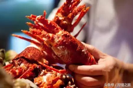 鍗楅潪鐭ュ悕鐚庝汉,鍗楅潪鐚庝汉鐙╃寧