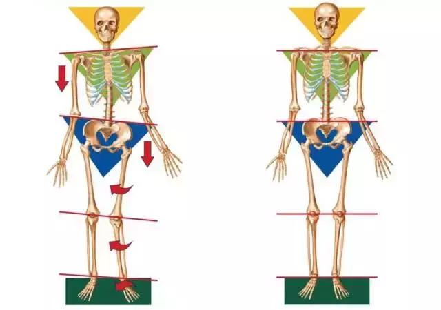 八字脚对跑步有影响吗,跑步时八字脚产生原因及纠正方法