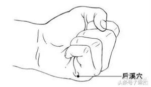 艾灸三字经朗诵视频,艾灸三字经全文诵读