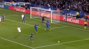 熟悉又陌生的蓝狐，会是下一支蓝军吗