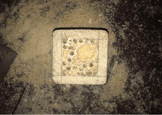 多肉可以用木头种植吗,在家养多肉省钱的最高境界