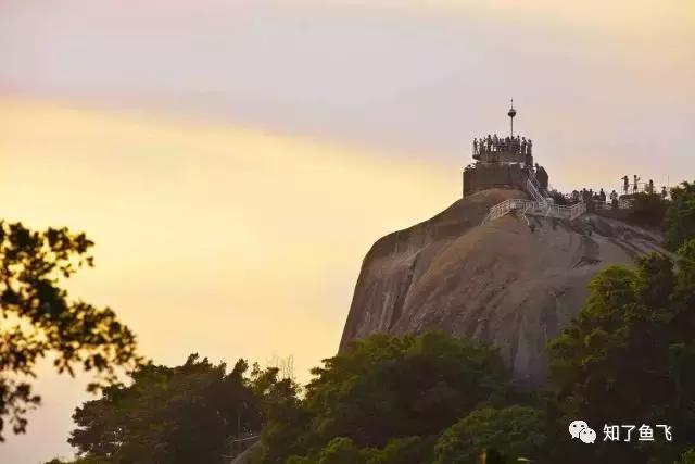 一位美丽学姐的暖心游记｜初见，厦门