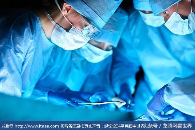 醉酒男子将两条活鱼塞进菊花