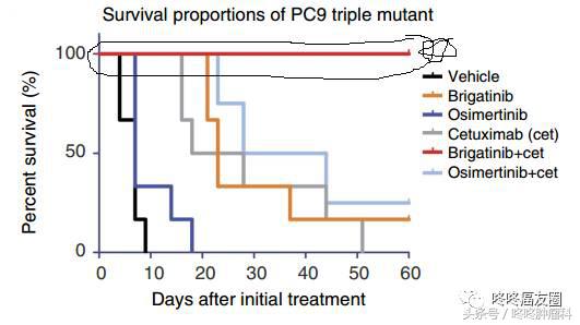老药新组合:AZD9291耐药的肺癌有救了?!