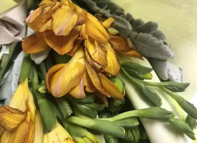 我们用1000元的教训告诉你:包月鲜花全是坑!一家都不推荐!