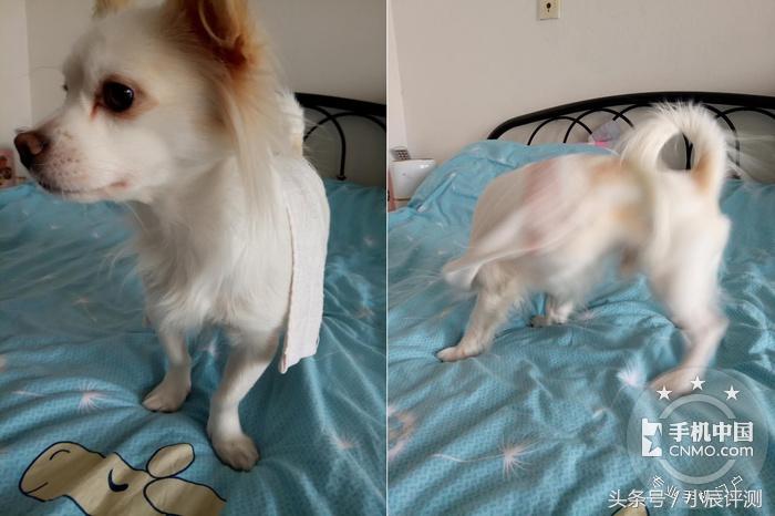 魅蓝5s这手机怎么样,魅族5s值得入手吗