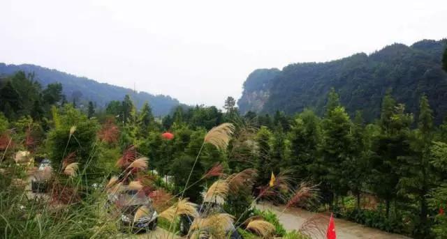 成都周边踏青二日游自驾游,春节成都看花好玩的地方推荐