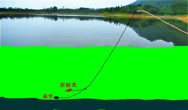 老钓鱼人经验,野钓鲶鱼技巧和方法