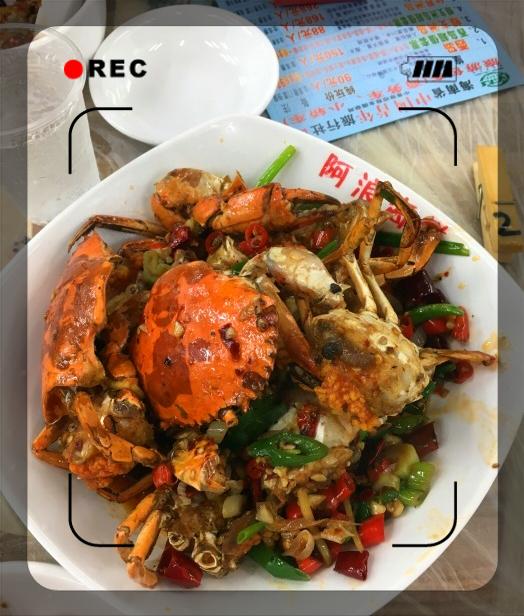 老海骑行海南,骑行海南与星辰大海相遇