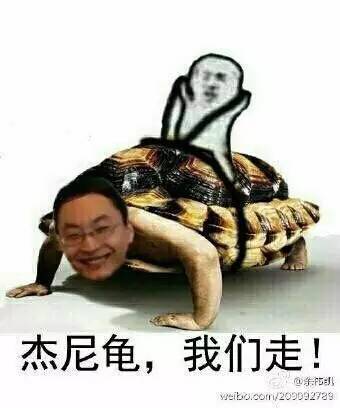 安戈洛加强卡,安戈洛卡组形态