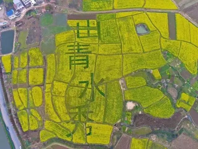 湖北孝昌今年美爆了！只因做了个“艰难的决定”