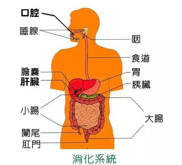 林心如和刘涛的保养,林心如刘涛谁好看