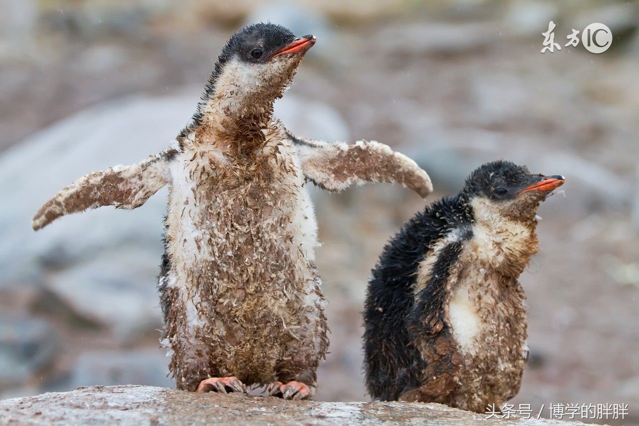我们死后究竟会怎样,我们死后该怎么办