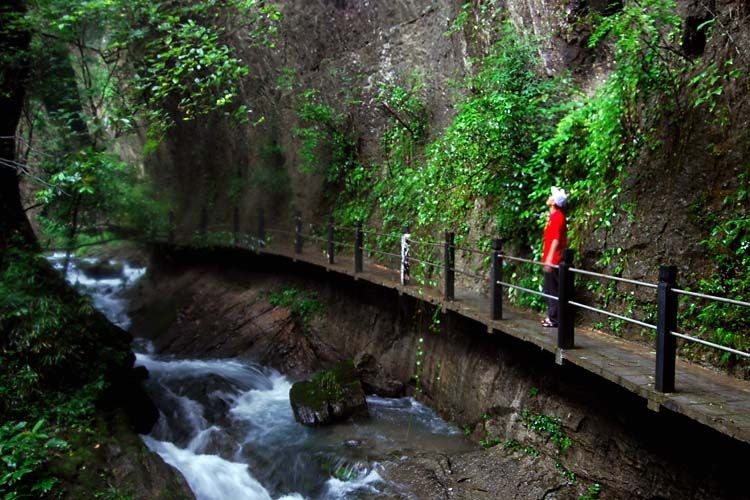 恩施森林旅游,恩施咸丰坪坝营旅游景点